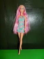 DSCN5459.webp