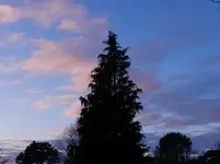 DSCN5442.webp