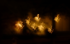 yellow (8).webp