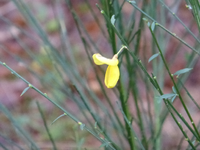 P1260163.webp