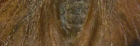 Rätselbild.webp