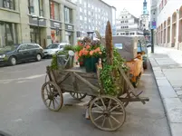 P1000779.webp