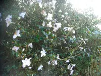 CIMG3801.webp