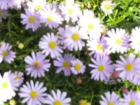 Bild 1540.webp