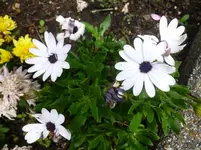 P1150416.webp