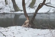 DSCF9729.webp