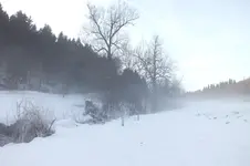 DSCF9731.webp