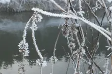 DSCF9733.webp