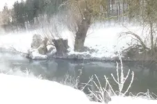 schnee u nebel.webp