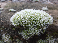 P1260046.webp