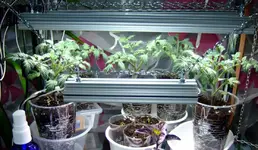 DSCF8744.2.webp