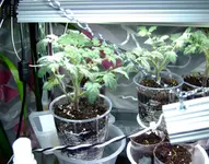 DSCF8717.2.webp