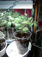 DSCF8740.2.webp