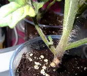 DSCF8732.2.webp