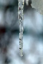 DSC_6538_40435.webp