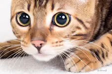 blog_SAM_4518nah.webp