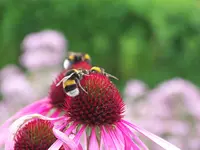 100_4647.webp