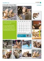 catalog_455752.webp