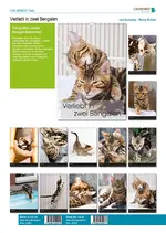 catalog_437385.webp