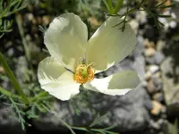 DSCN8773.webp