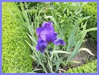 035.webp