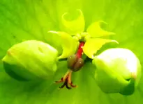DSCN2829.webp