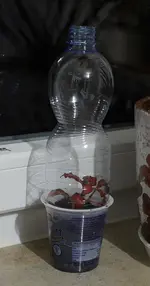 mini_gw.webp