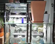 DSCN3478.2.webp