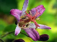 K800_DSCF1499.webp