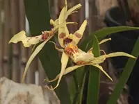 K800_DSCF3444.webp