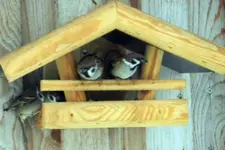 DSCN5492.webp