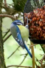DSCN5619.webp