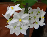 DSCN7978.webp