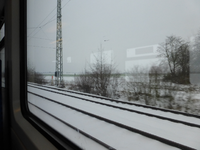 P1250711.webp