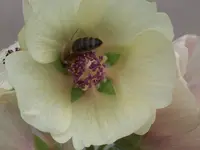 100_4873.webp