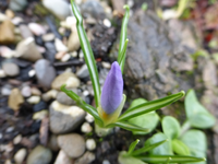 P1260639.webp