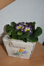 DSC_3326.webp