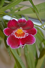 DSC_3324.webp