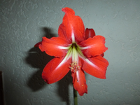 P1250160.webp