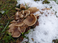 P1250816.webp