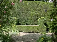 Grüne Bank2.webp