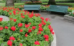 IMG_0179v.webp