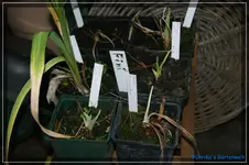 comp_DSC02605.webp