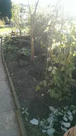2014-11-08 11.03.31.webp