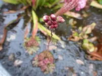P1230800.webp