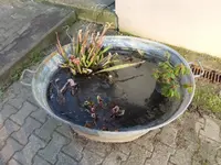 P1260031.webp