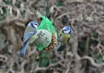DSC_3339.webp