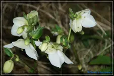 comp_DSC02597.webp