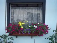 DSCF0317.webp