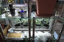 DSCN3486.2.webp